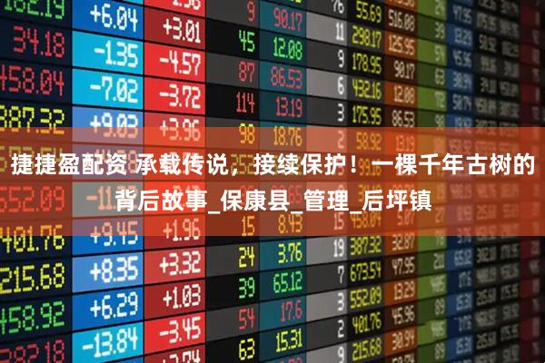 捷捷盈配资 承载传说，接续保护！一棵千年古树的背后故事_保康县_管理_后坪镇