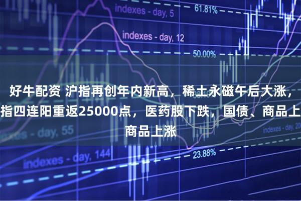 好牛配资 沪指再创年内新高，稀土永磁午后大涨，恒指四连阳重返25000点，医药股下跌，国债、商品上涨