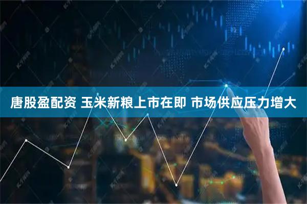 唐股盈配资 玉米新粮上市在即 市场供应压力增大