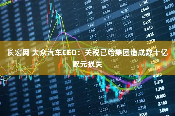 长宏网 大众汽车CEO：关税已给集团造成数十亿欧元损失
