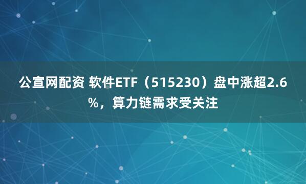 公宣网配资 软件ETF（515230）盘中涨超2.6%，算力链需求受关注