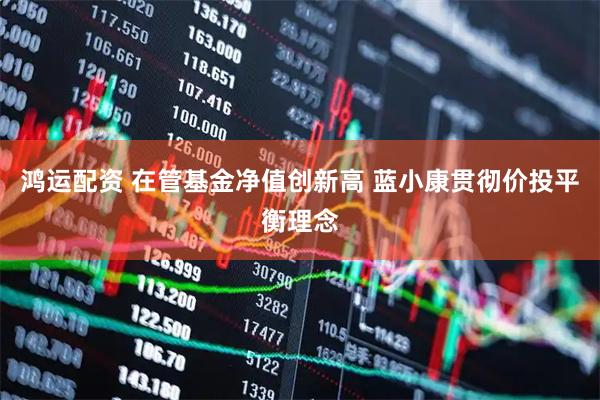 鸿运配资 在管基金净值创新高 蓝小康贯彻价投平衡理念