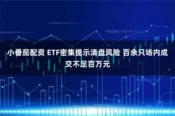 小番茄配资 ETF密集提示清盘风险 百余只场内成交不足百万元